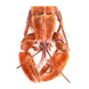 300x300 Watercolor Lobster, Lobster Print, Lobster Art, Seafood Art, Red