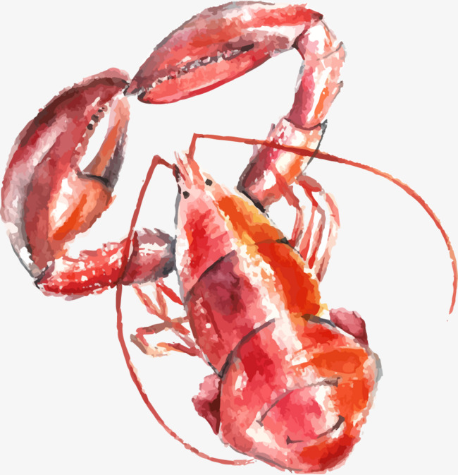 650x673 Watercolor Lobster, Watercolor Clipart, Cartoon, Hand Painted Png