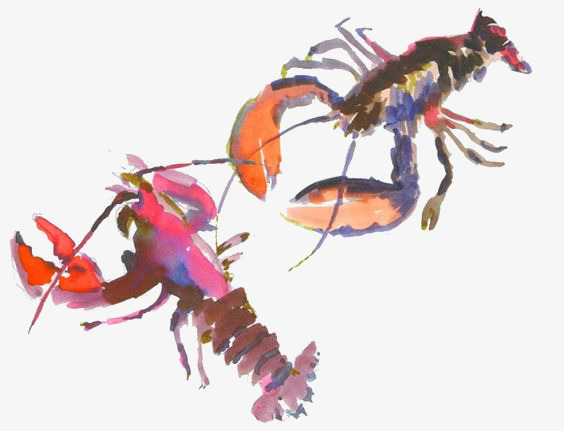 564x431 Watercolor Lobster, Watercolor Clipart, Hand Painted Lobster