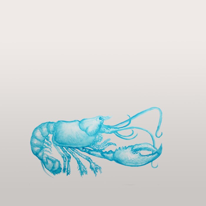 700x700 Watercolor Lobster Duvet Cover By Patriciaroberta Society6