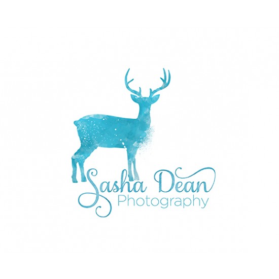 550x550 Deer Watercolor Logo Design