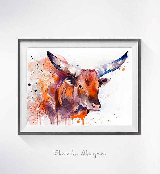 556x604 Longhorn 2 Watercolor Painting Print,