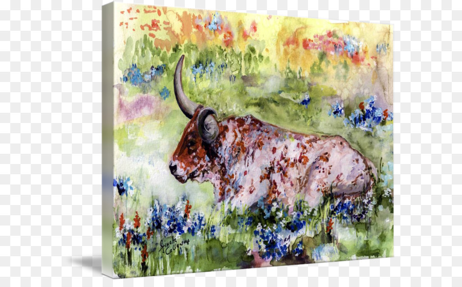900x560 Texas Longhorn Watercolor Painting Art Canvas Print