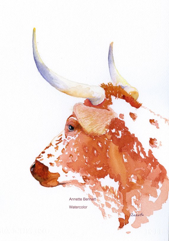 570x811 Kitchen Art Cow Painting Watercolor Animal Longhorn Etsy