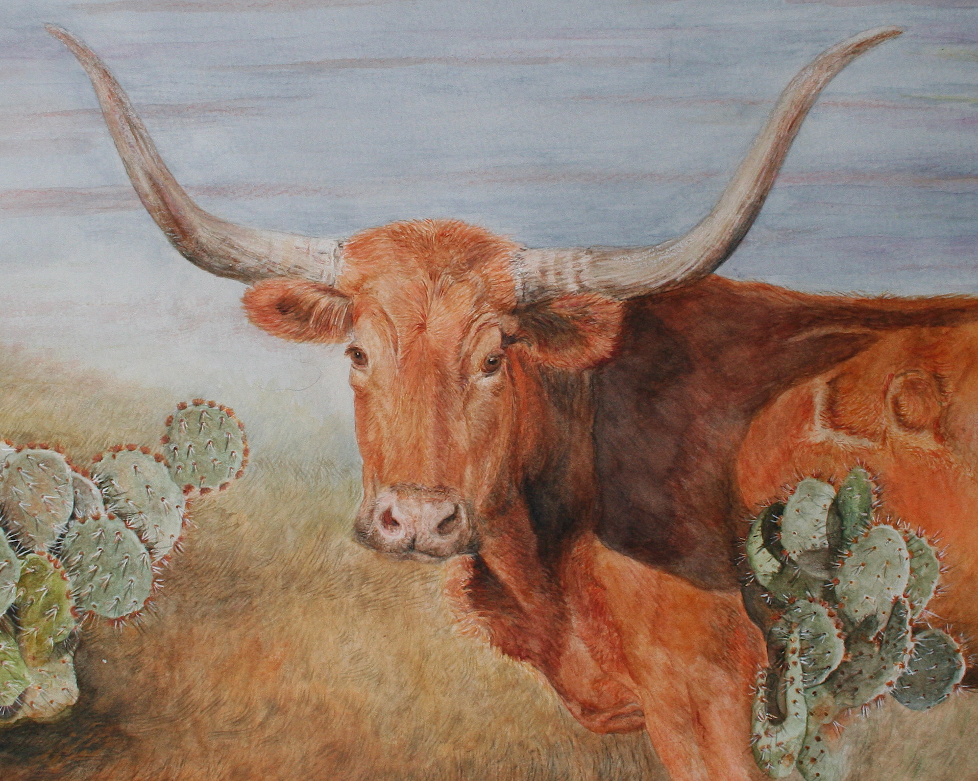 1916x1531 Paintings Of Longhorn Cattle Dana Spring Parish