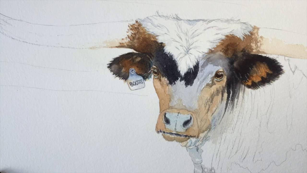 1280x720 How To Paint A Longhorn In Watercolor