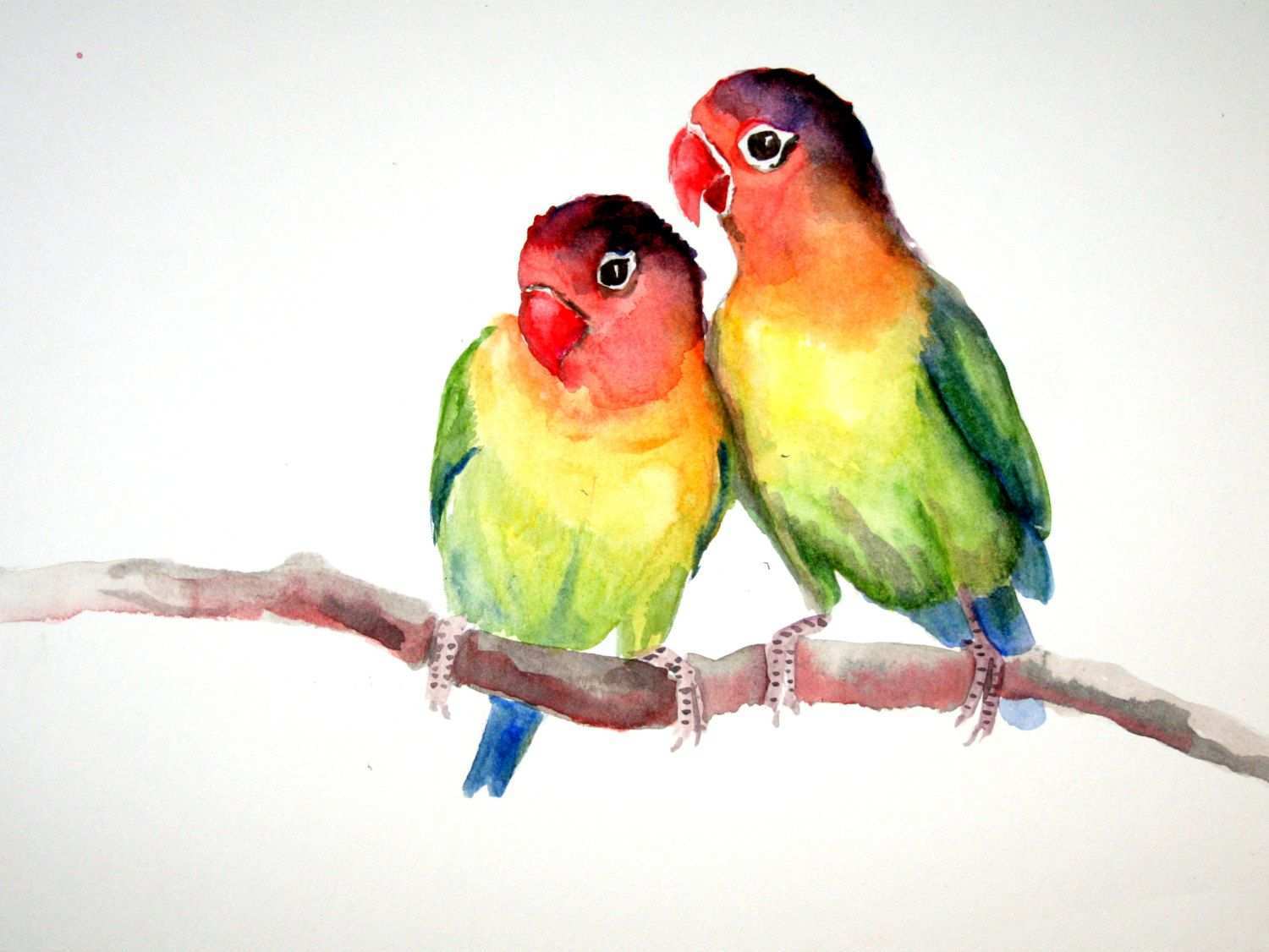 1500x1126 Love Birds Painting Inspirational Lovebirds Original Watercolor