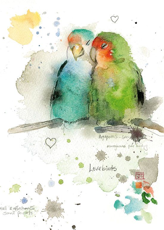 551x773 Bug Art F013 Lovebirds Greetings Card Jane Crowther