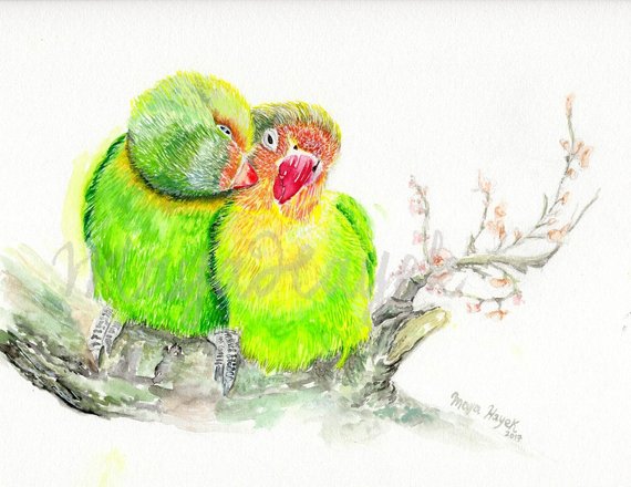 570x440 Lovebirds Painting Lovebirds Print Watercolor Loverbirds