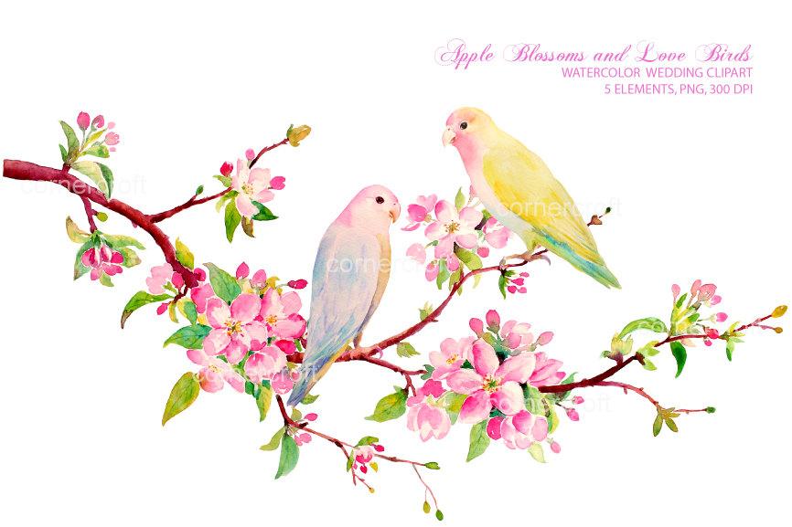 866x577 Watercolor Apple Blossom And Love Bird, Watercolor Clipart