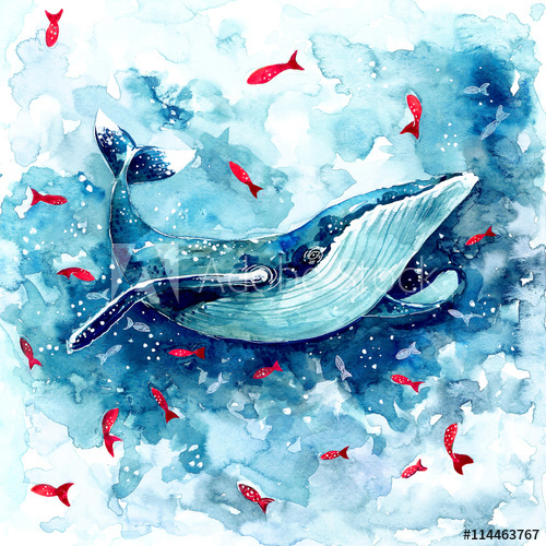 500x500 Watercolor Magic Whale