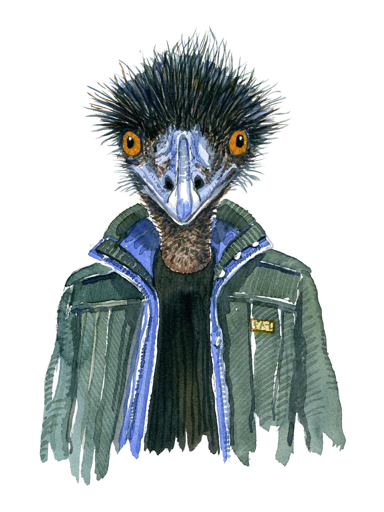 1250x1667 Emu Man Watercolor Frits Ahlefeldt