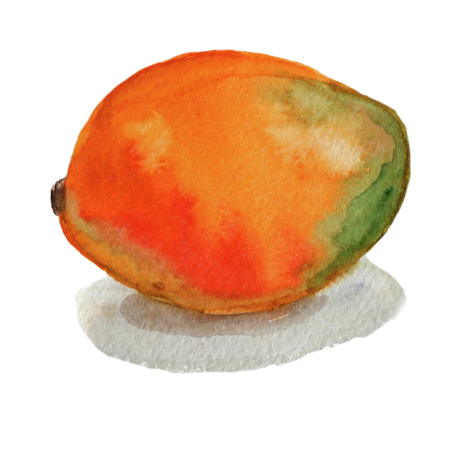 900x900 Mango Watercolor Painting By Olena Belchishche