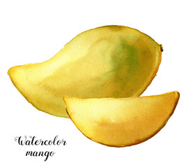 261x240 Search Photos Watercolor Mango
