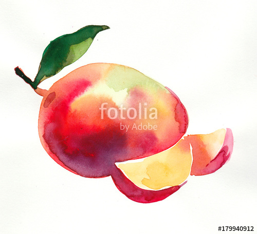 500x456 Watercolor Mango Stock Photo And Royalty Free Images On Fotolia