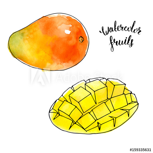 500x500 Watercolor Mango Fruit With Slice Cut To Cubes Isolated On White