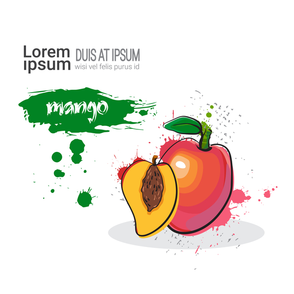 600x600 Mango Watercolor Drawn Vector Free Download