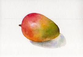 271x186 Watercolor Mango