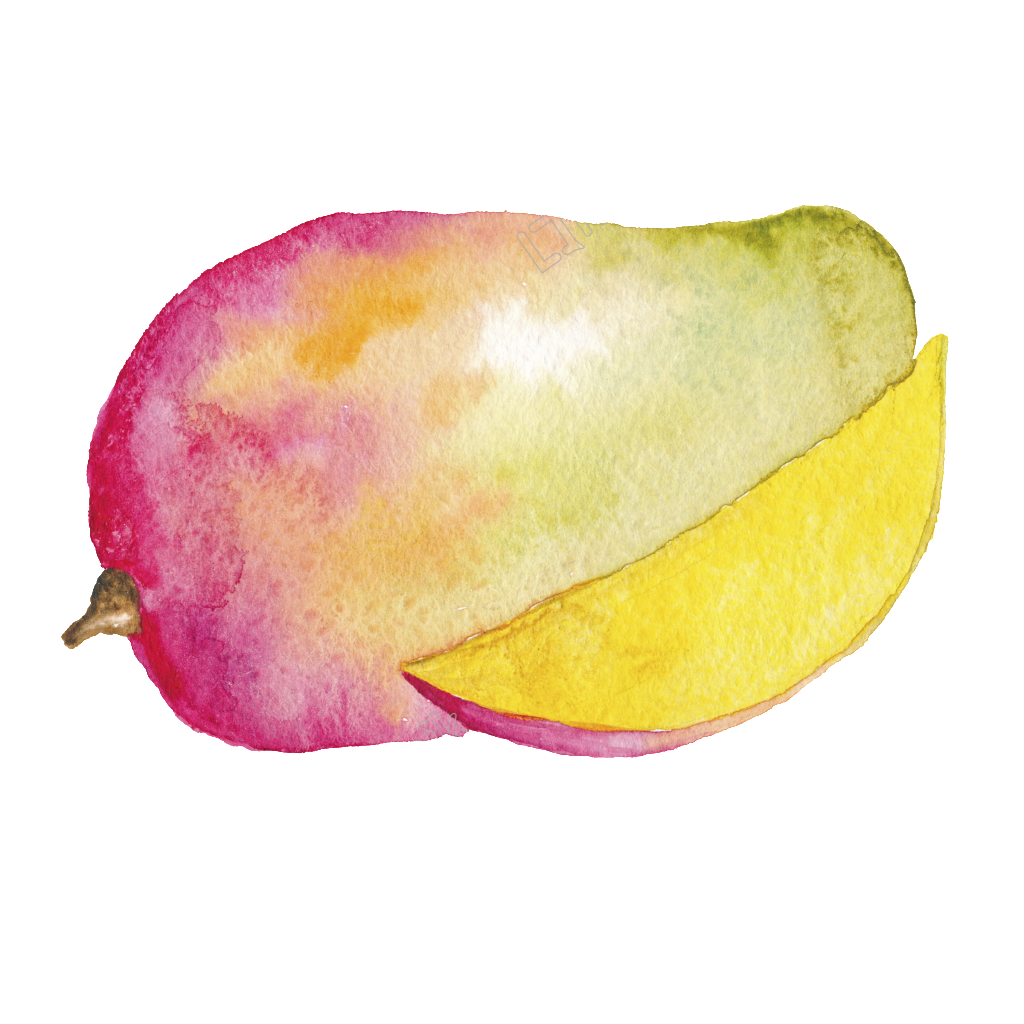 69. Found. watercolor images for &apos;<b>Mango</b>&apos;. 