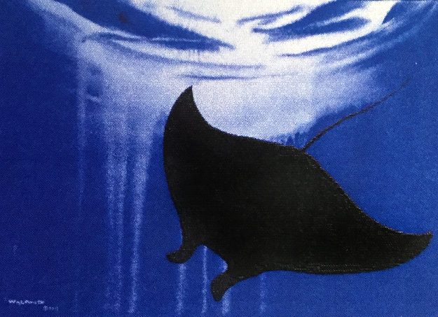 625x453 Manta Ray Watercolor 2013 30x22 By Robert Wyland