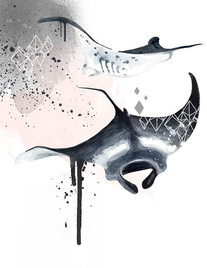 791x1024 Manta Ray Watercolour Available