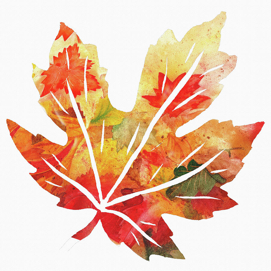 900x900 Maple Leaf Watercolor Silhouette Painting By Irina Sztukowski