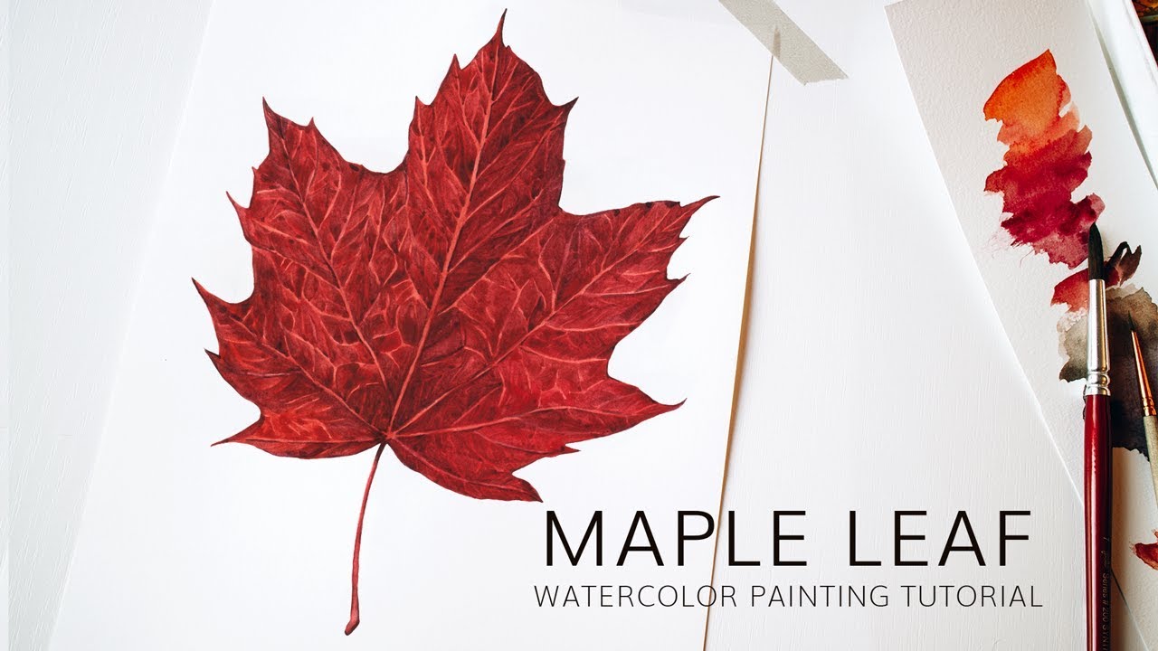 1280x720 Red Autumn Leaf Botanical Illustration Tutorial Painting