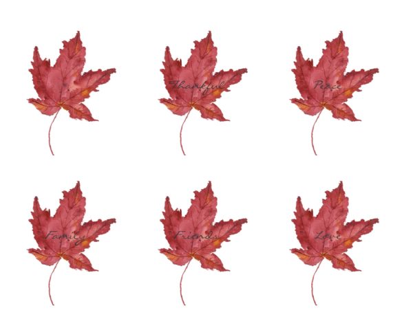 600x464 Watercolor Maple Leaf (Free Printable)