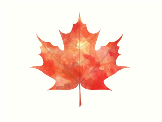 549x413 Watercolor Maple Leaf Art Prints By Shaney Alice Gober Redbubble