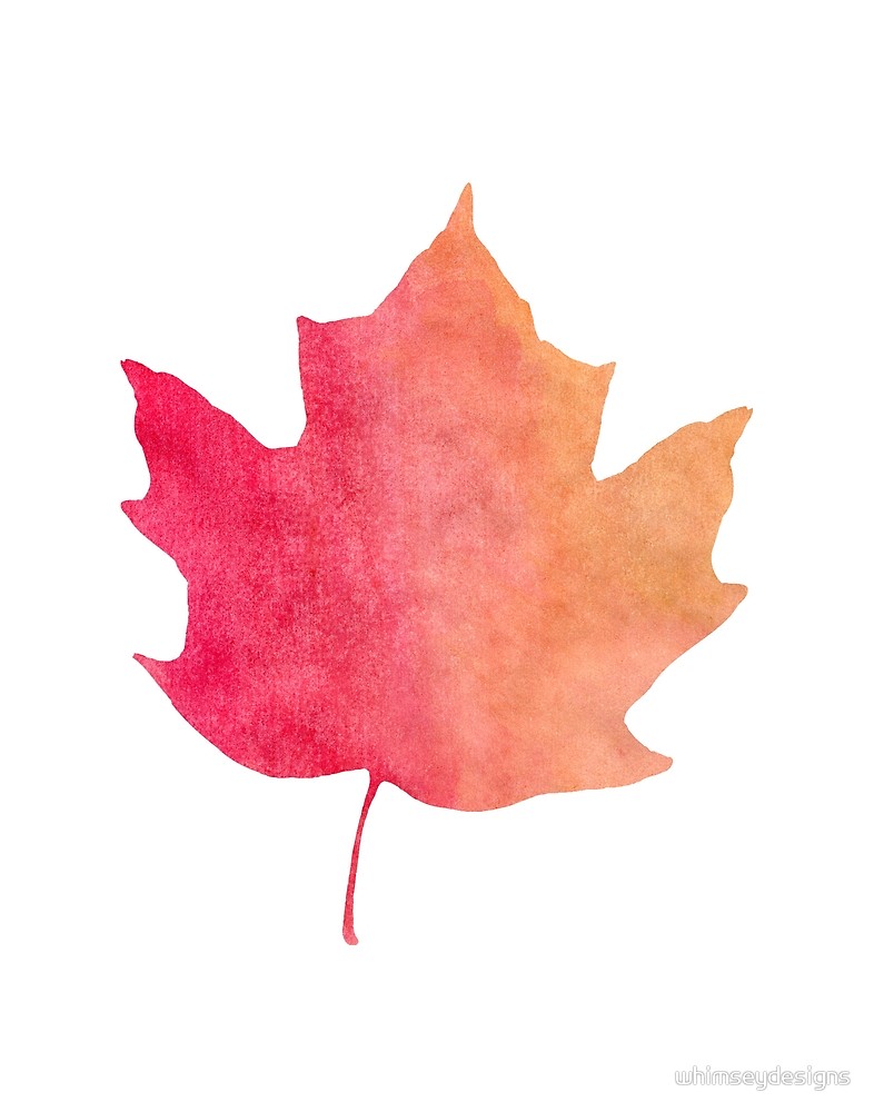 786x1000 Watercolor Maple Leaf For Fall By Whimseydesigns Redbubble
