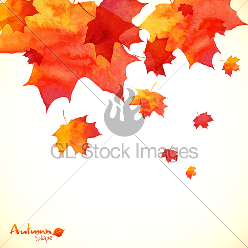 500x500 Watercolor Painted Orange Maple Leaves Autumn Background Gl