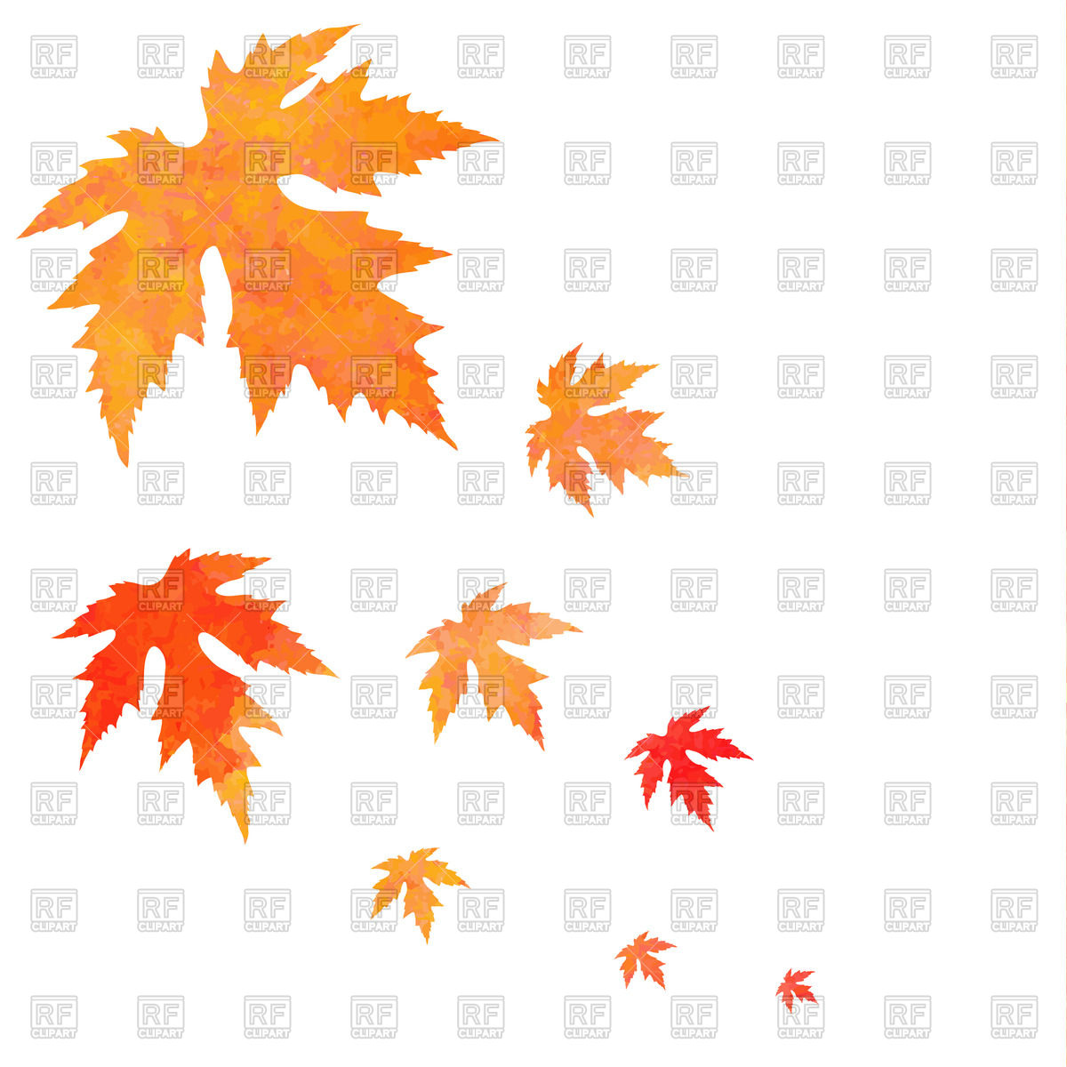1200x1200 Watercolor Painted Orange Falling Maple Leaves Vector Image