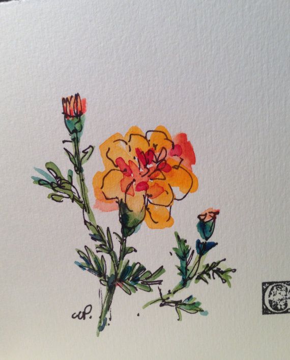 570x707 Marigold Watercolor Card Watercolor Cards, Marigold And Watercolor