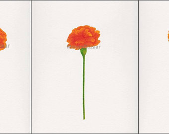 340x270 Marigold Watercolor Etsy