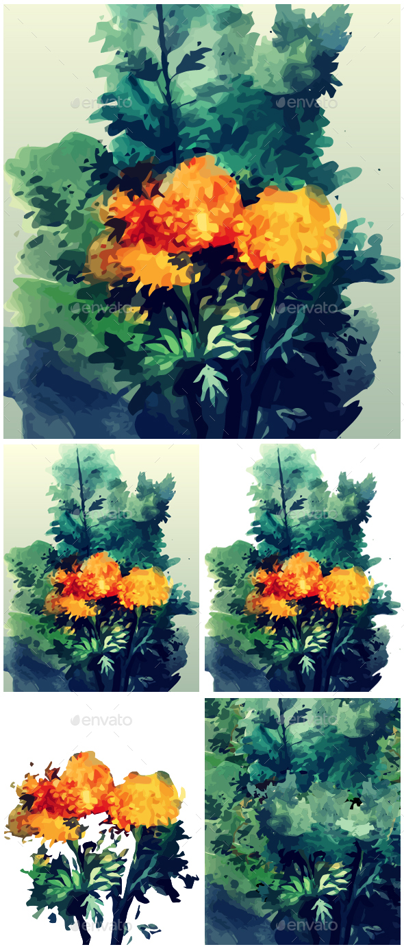 590x1381 Watercolor Marigold Flower By Tariktoon Graphicriver