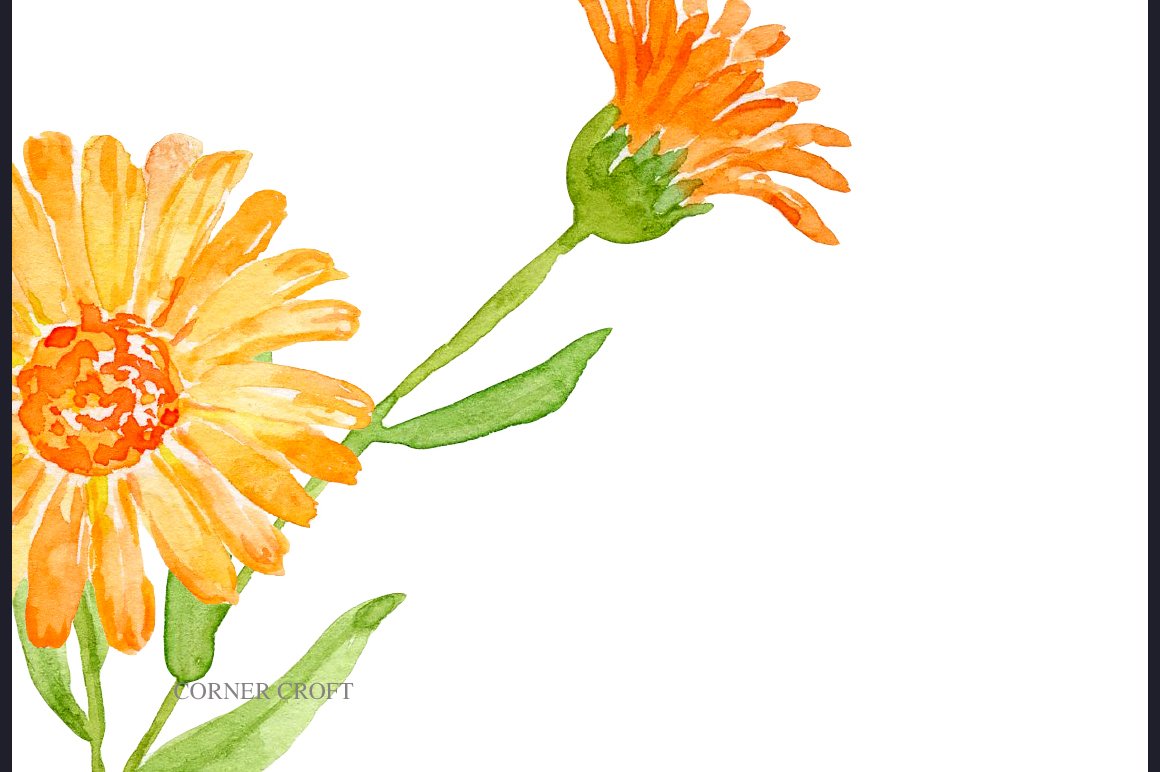 1160x772 Watercolor Herb Pot Marigold Flowers Printable Corner Croft