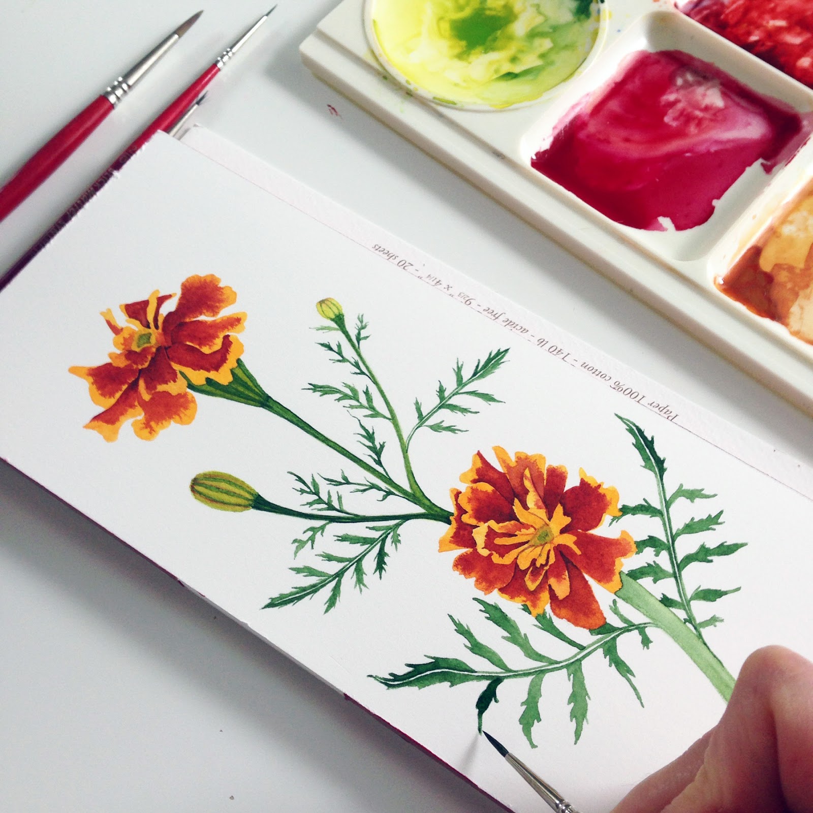 1600x1600 Painting Marigolds And A Confession