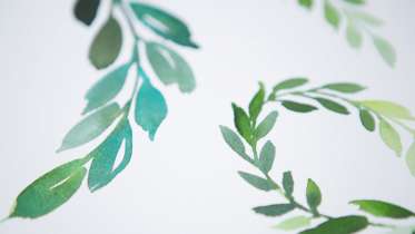 373x210 Beginning Watercolor By Yao Cheng