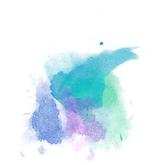 236x236 Bird Print. Gull Poster. Watercolor Decor. Animal Print. Printed