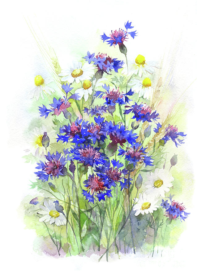 637x900 Watercolor Meadow Flowers Painting By Mary Pashkova