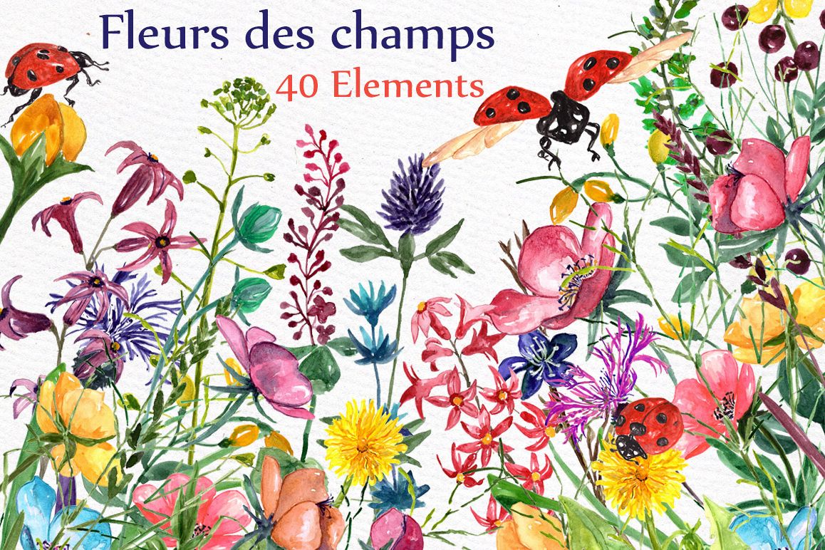 1158x772 Watercolor Meadow Flowers Clipart