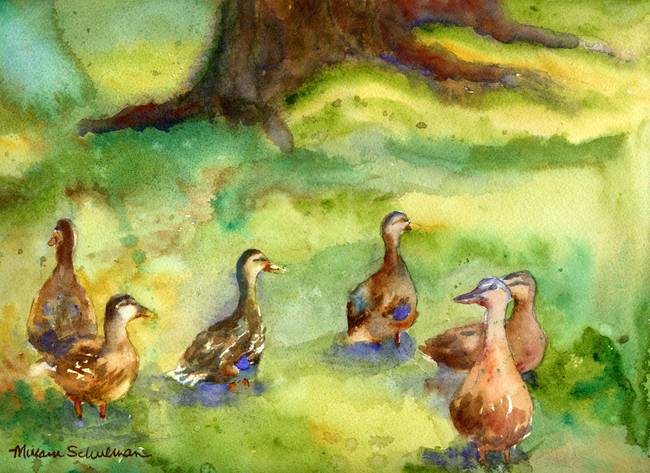 650x473 Duck Meadow, Animal Art, Watercolor Painting By Miriam Schulman