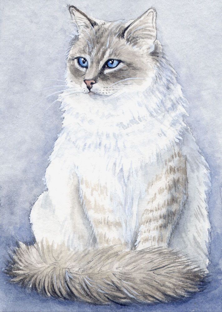 712x1000 Aceo Original Miniature Watercolor Painting Cats By Elena
