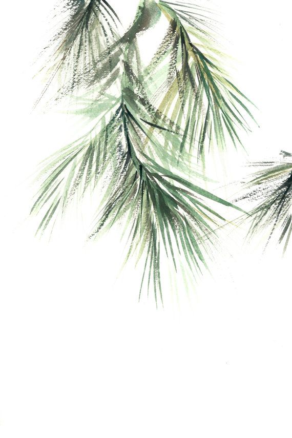 570x855 Pine Tree Branch Minimalist Fine Art Print, Botanical Watercolor