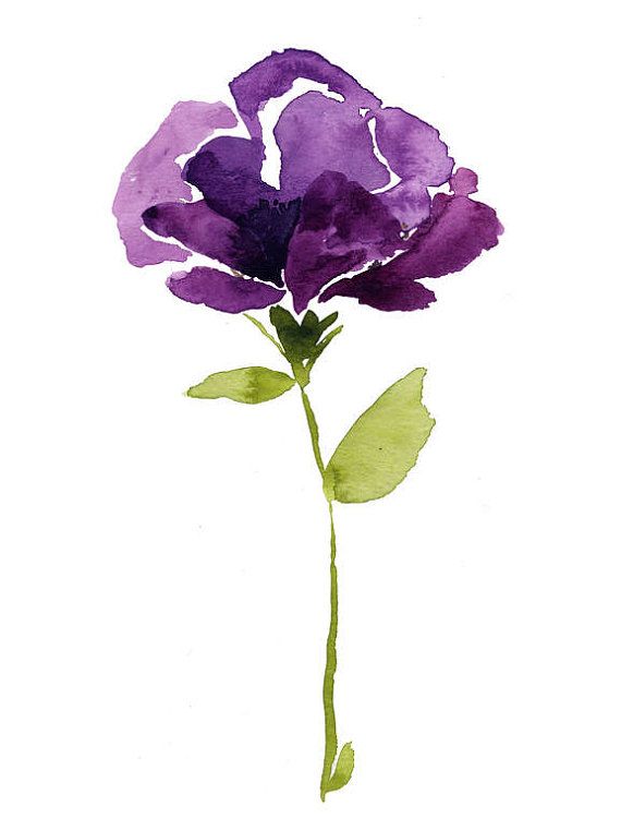 570x761 Wine Cup Poppy