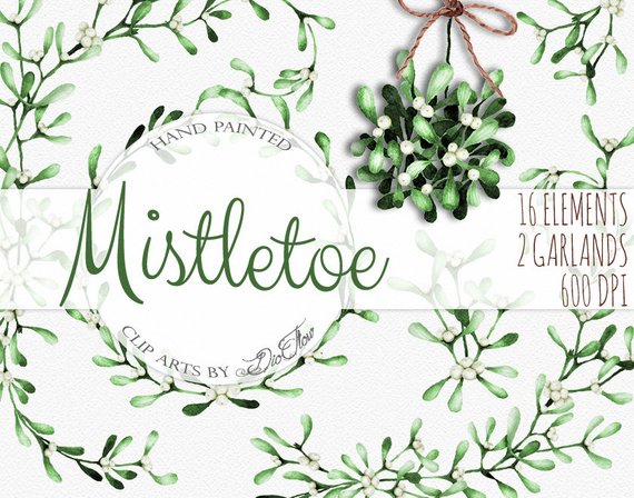 570x448 Watercolor Mistletoe Clipart Winter Clip Art Christmas Flowers Etsy