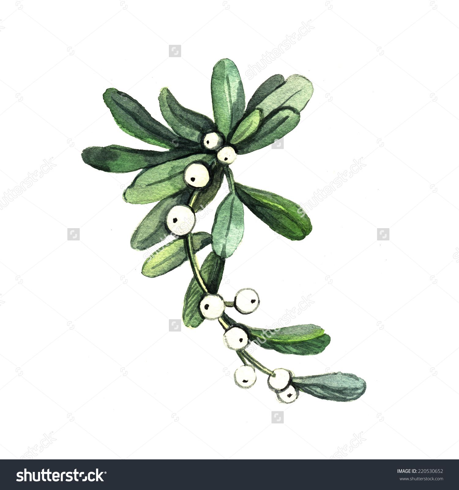 1500x1600 Image Result For Watercolor Mistletoe Mood Board