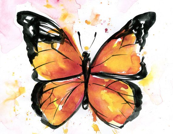 570x441 Monarch Butterfly Watercolor Via Kathymortonstanion Art