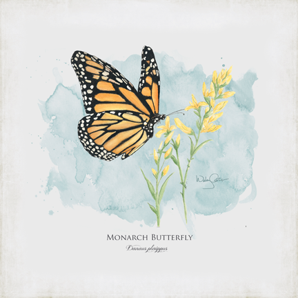 432x432 Monarch Butterfly