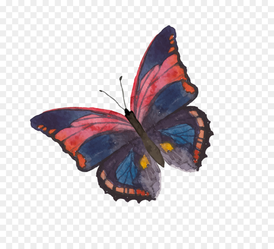 900x820 Papillon Dog Monarch Butterfly Watercolor Painting